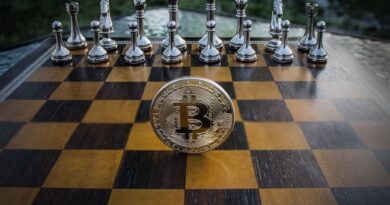 Balancing Risk and Opportunity in Strategy